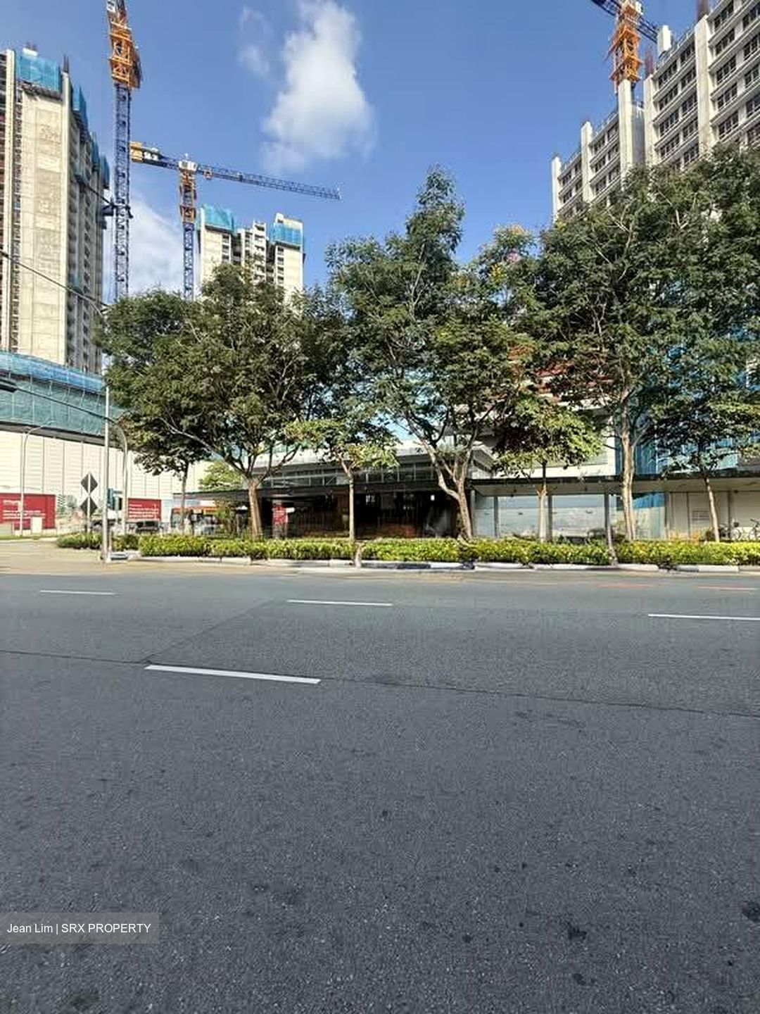 Jalan Besar (D8), Shop House #557112601